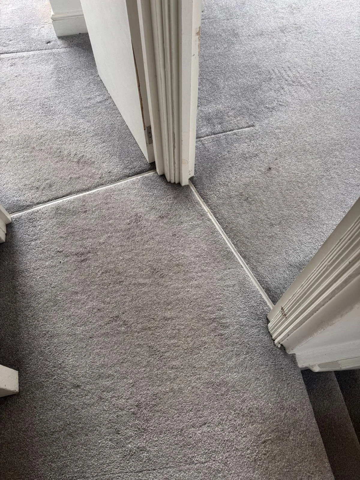 WhatsApp Image 2024-11-18 at 12.49.45 PM (5).jpeg