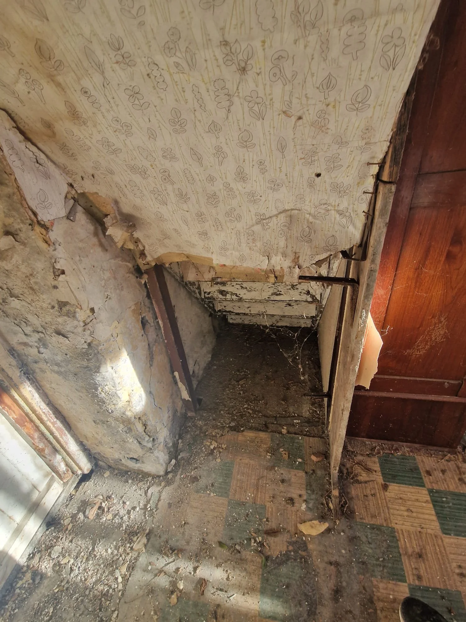 WhatsApp Image 2025-01-06 at 13.47.19 (1).jpeg