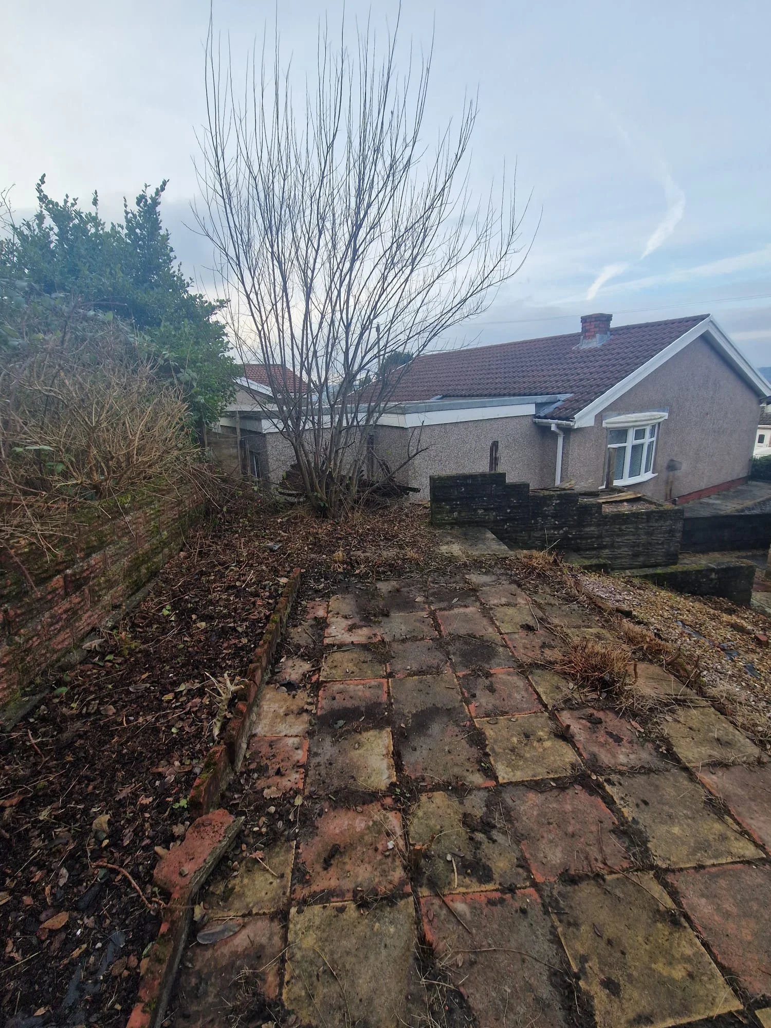 WhatsApp Image 2025-01-23 at 12.08.55 (1).jpeg