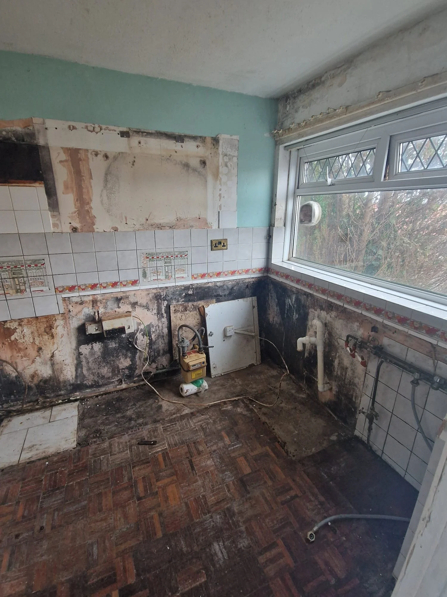 WhatsApp Image 2025-01-23 at 12.08.57 (3).jpeg