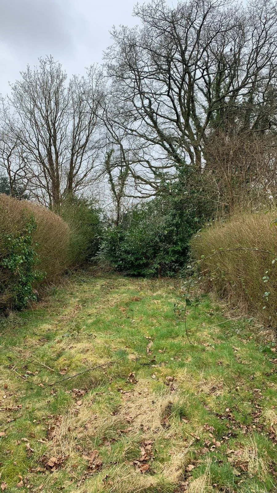 WhatsApp Image 2025-05-20 at 13.11.05 (15).jpeg