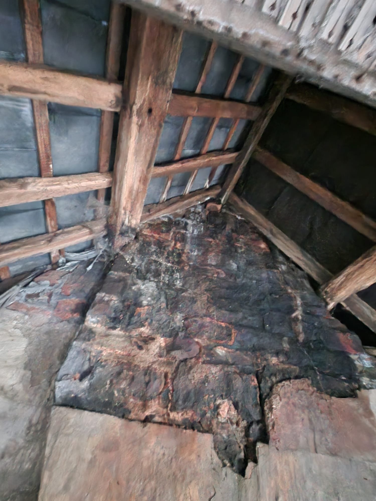 WhatsApp Image 2026-03-08 at 17.09.10.jpeg