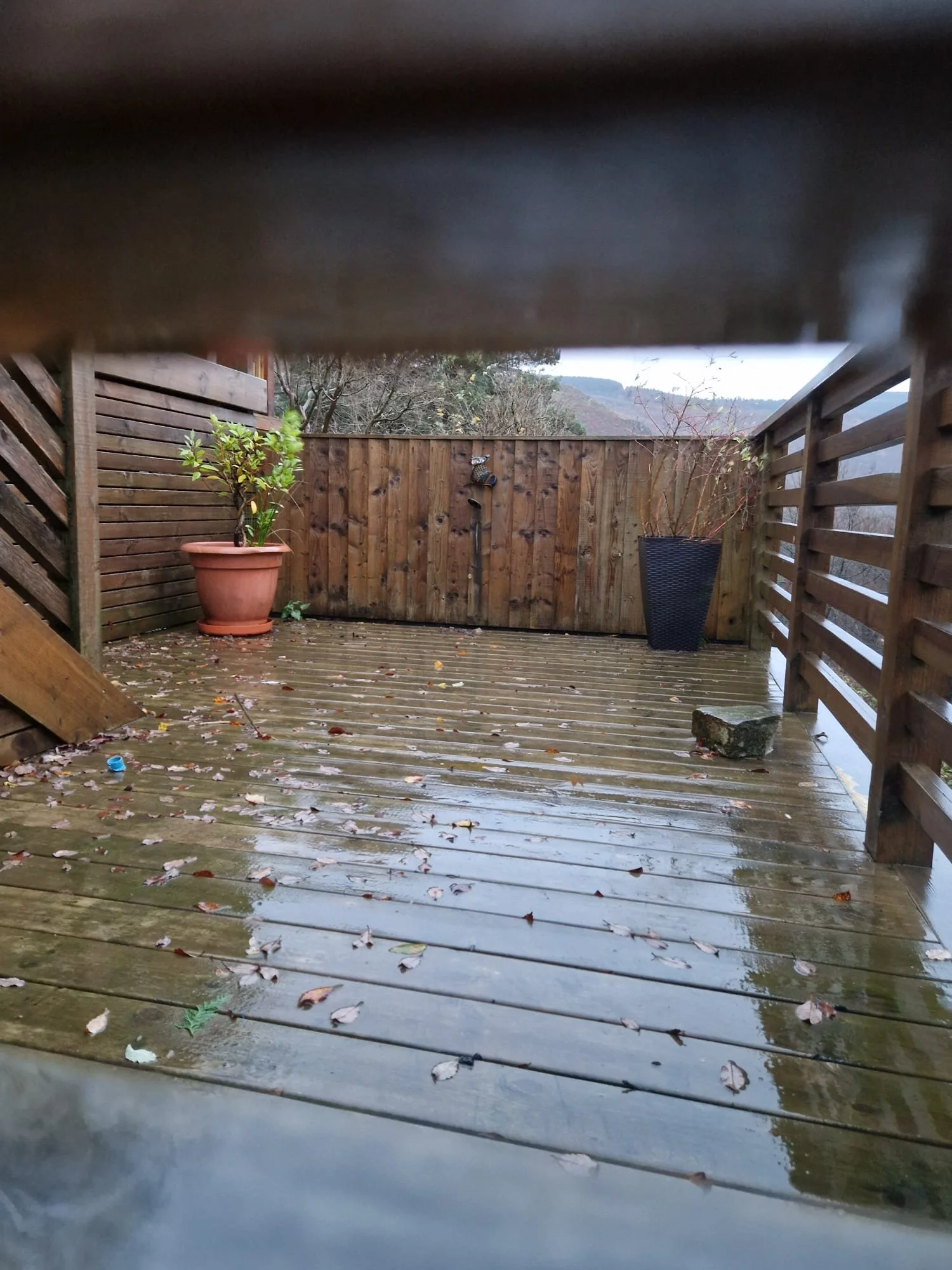 WhatsApp Image 2026-02-23 at 15.42.37 (4).jpeg