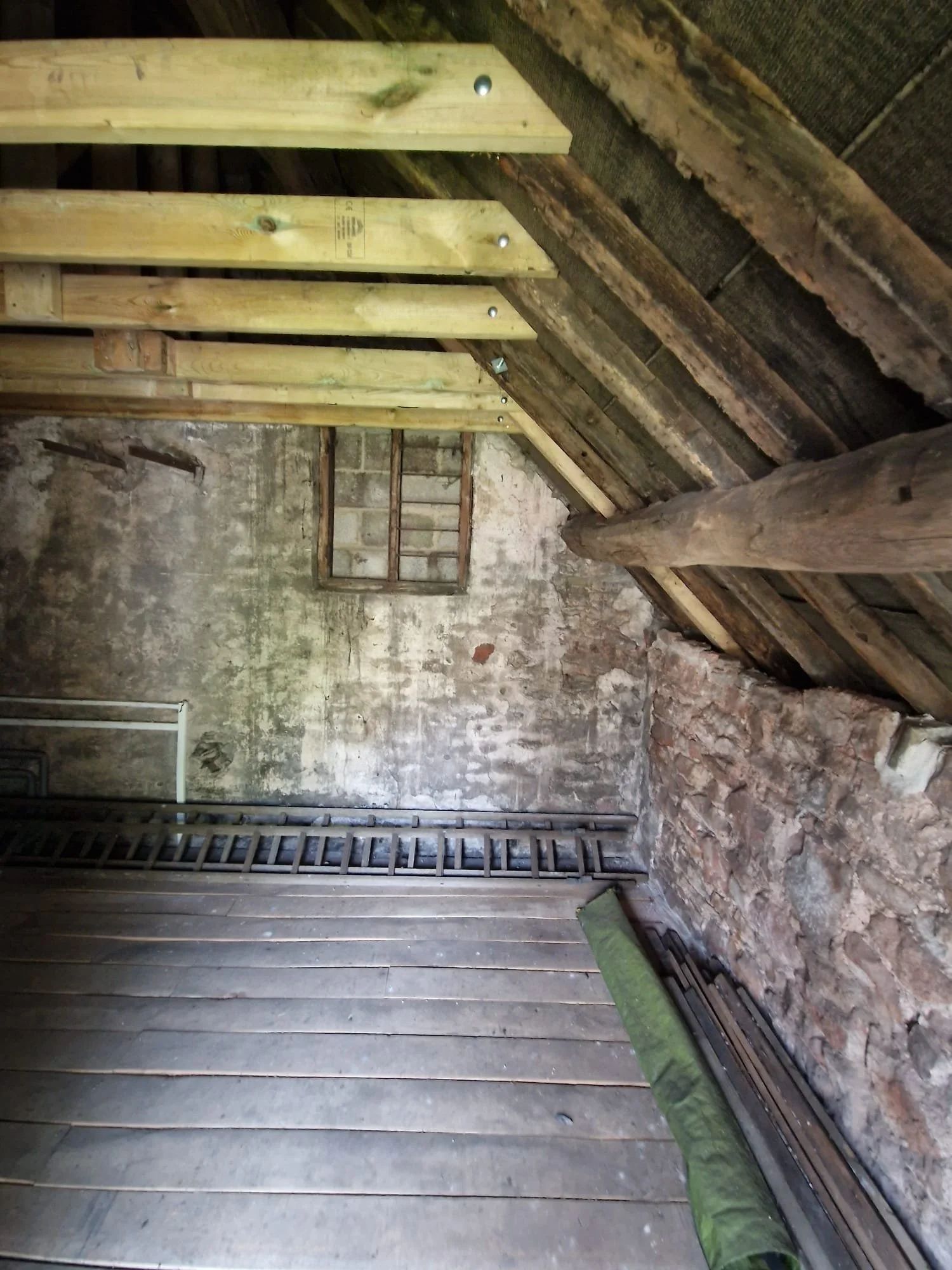 WhatsApp Image 2026-03-08 at 17.09.05.jpeg