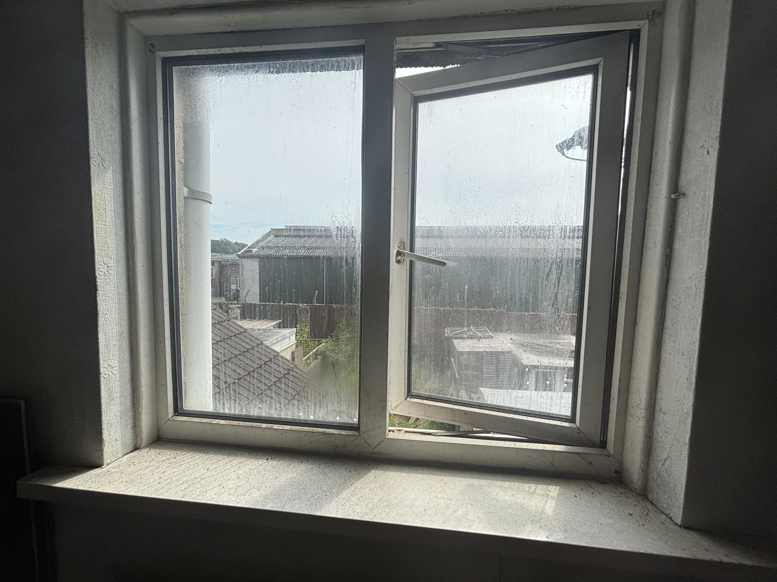 IMG_7495.jpeg