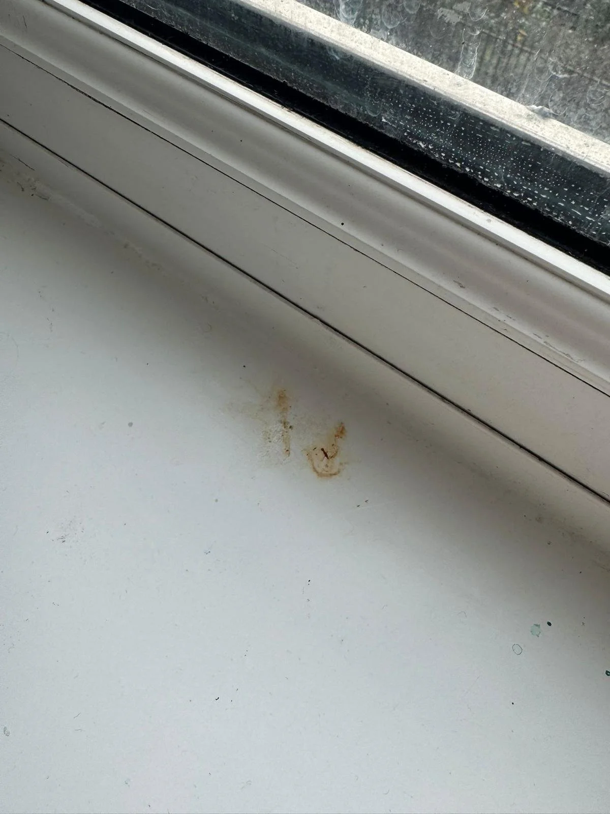 WhatsApp Image 2024-11-18 at 12.49.42 PM.jpeg