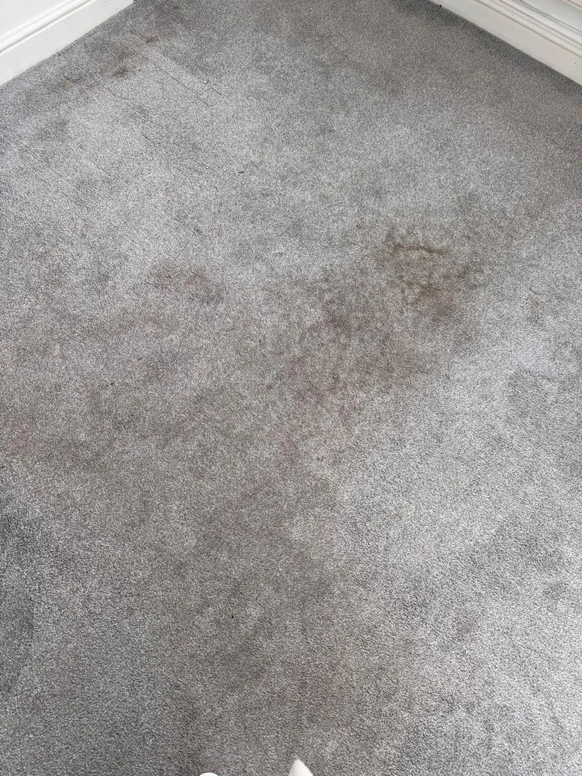 WhatsApp Image 2024-11-18 at 12.49.46 PM (5).jpeg