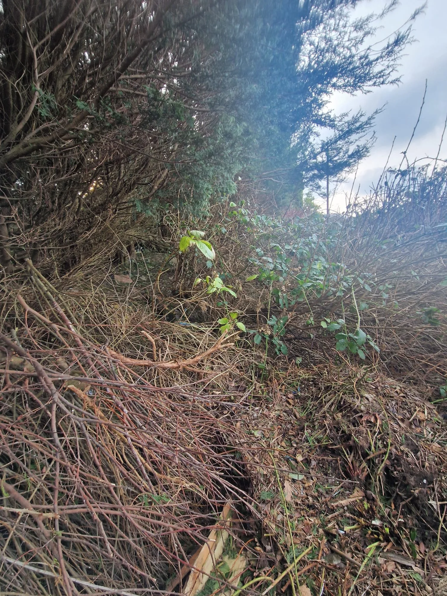 WhatsApp Image 2025-01-23 at 12.08.56 (1).jpeg