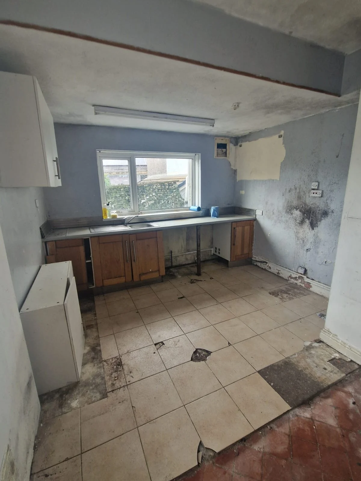 WhatsApp Image 2025-04-24 at 21.56.16.jpeg