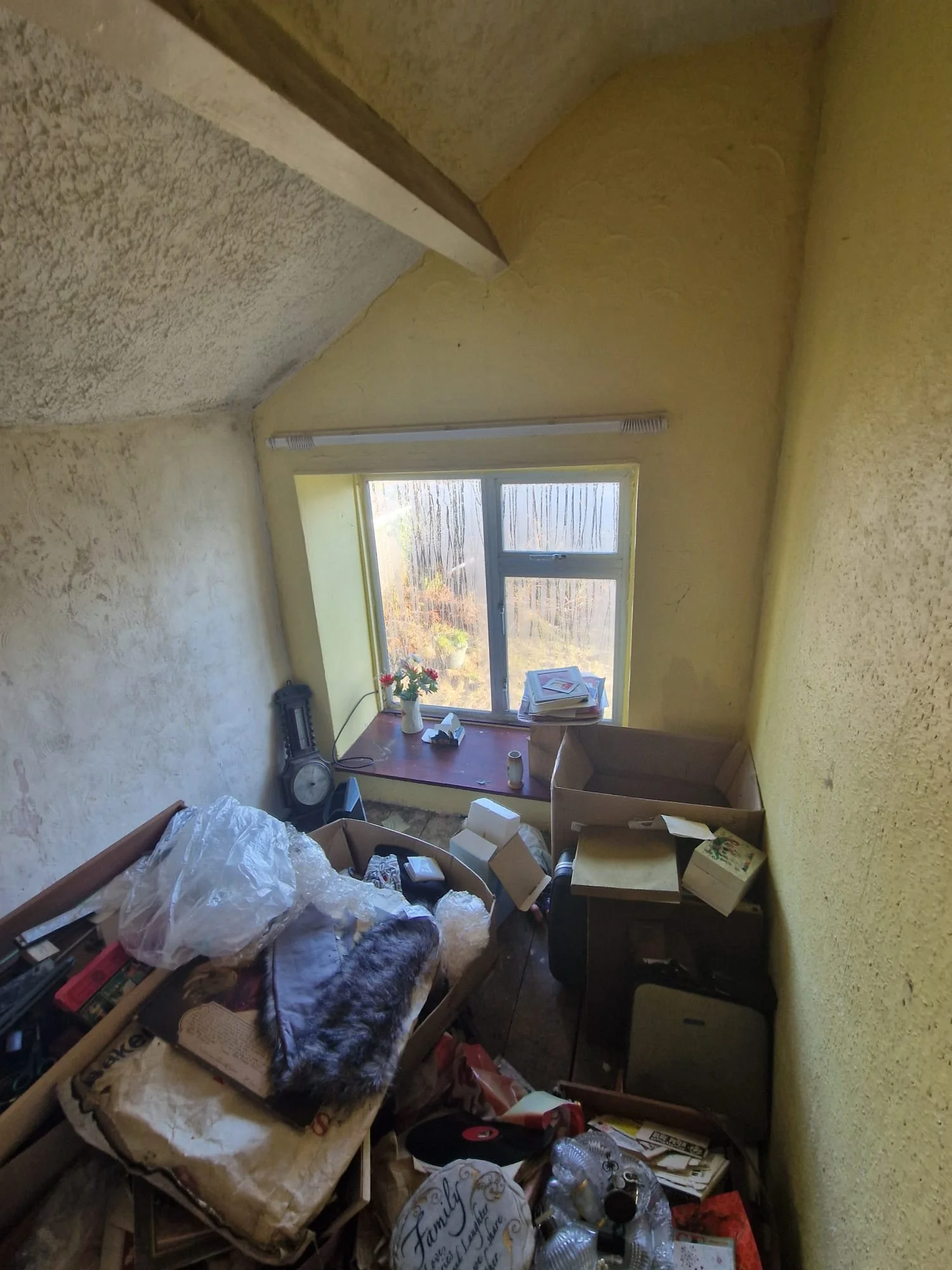 WhatsApp Image 2025-01-06 at 13.47.10 (5).jpeg