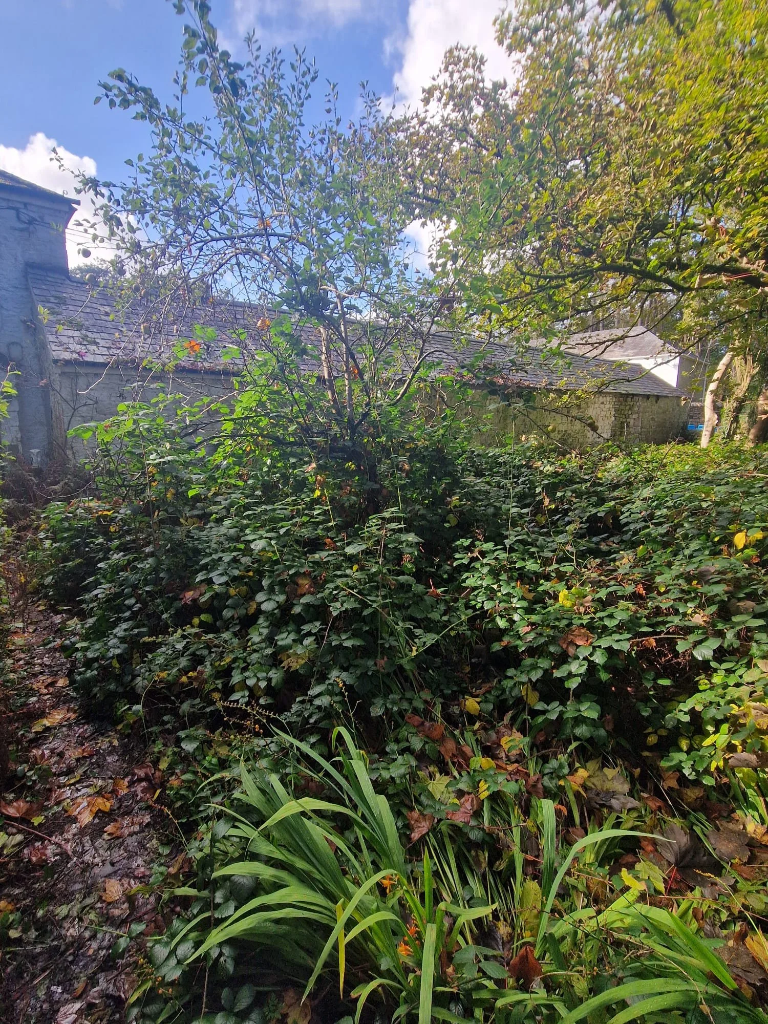 WhatsApp Image 2024-10-19 at 13.25.18.jpeg