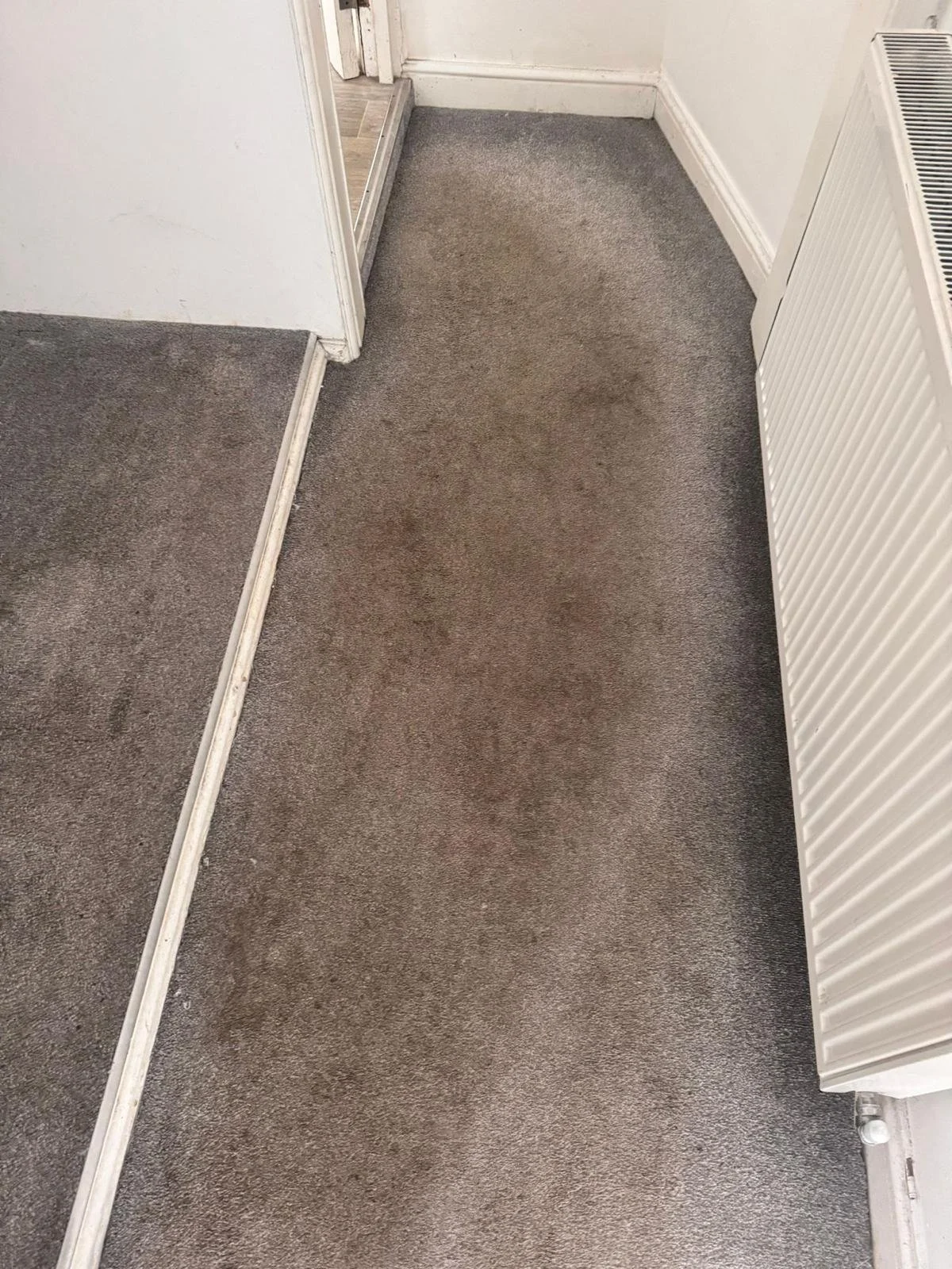 WhatsApp Image 2024-11-18 at 12.49.47 PM (6).jpeg