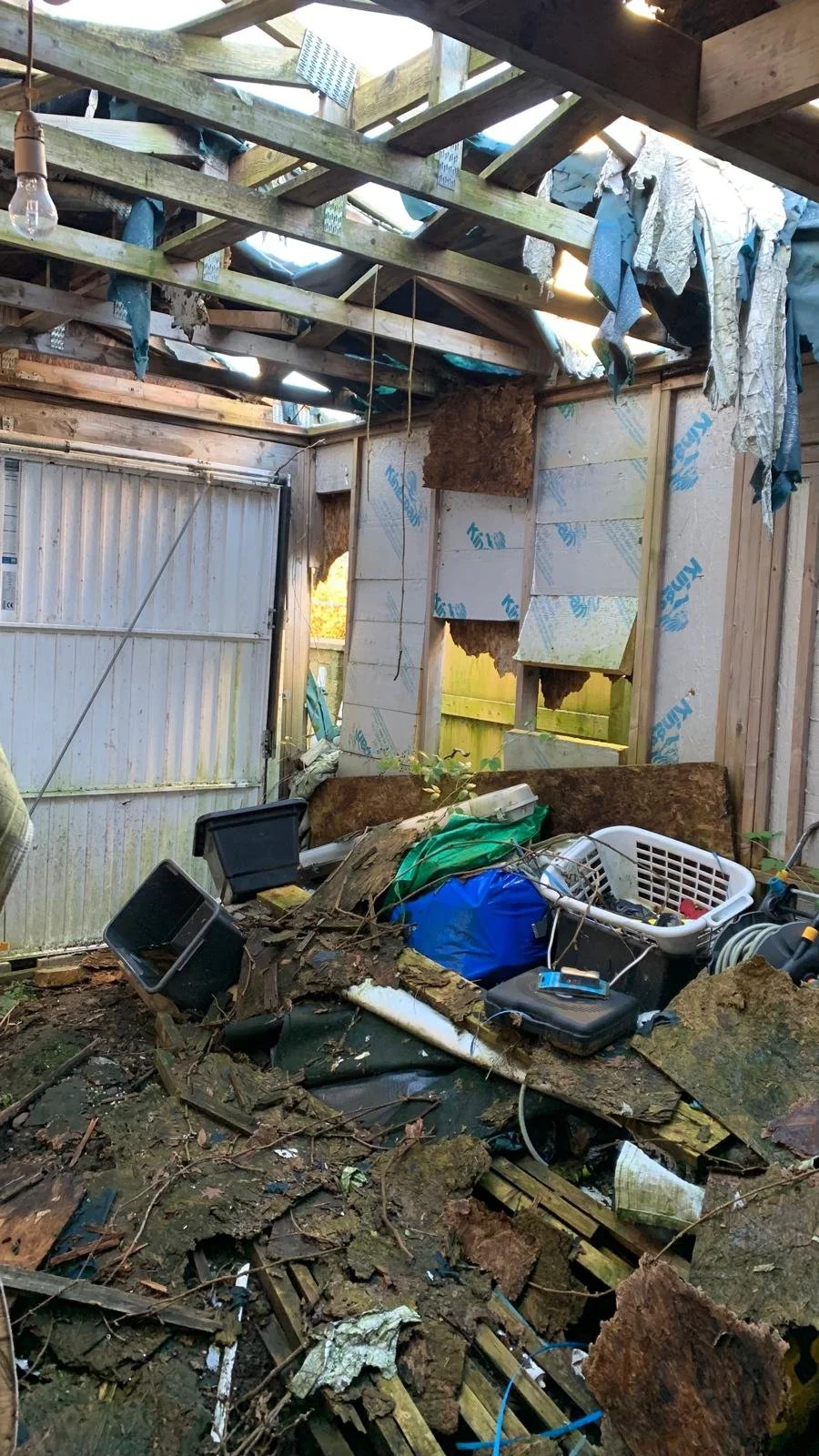 WhatsApp Image 2025-01-13 at 14.22.14 (3).jpeg