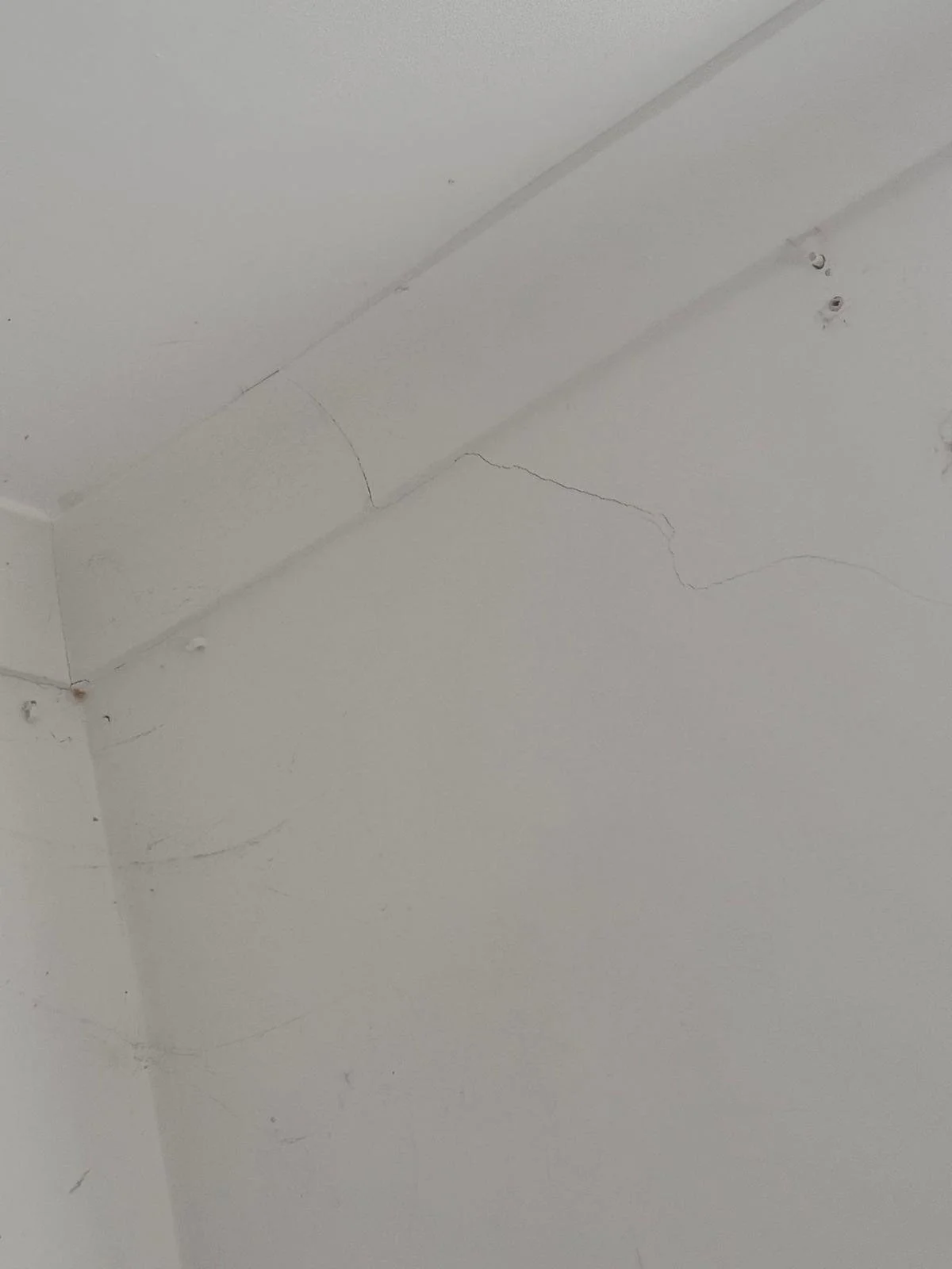 WhatsApp Image 2024-11-18 at 12.49.45 PM (3).jpeg