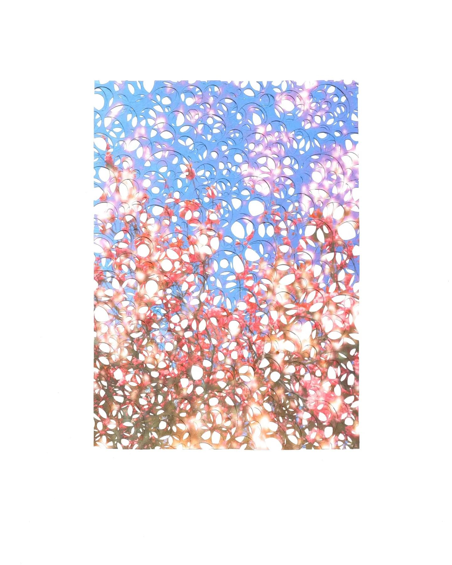 HEY Y'ALL🌸🌸🌸
Okay so, I meant to post this a WHILE AGO because of springtime blossoms and I love to be thematic. But, I forgot. BETTER LATE THEN NEVER THOUGH! 

Keep it Crazay! 
BYEEEEEEEEE