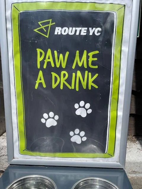 Dog Friendly