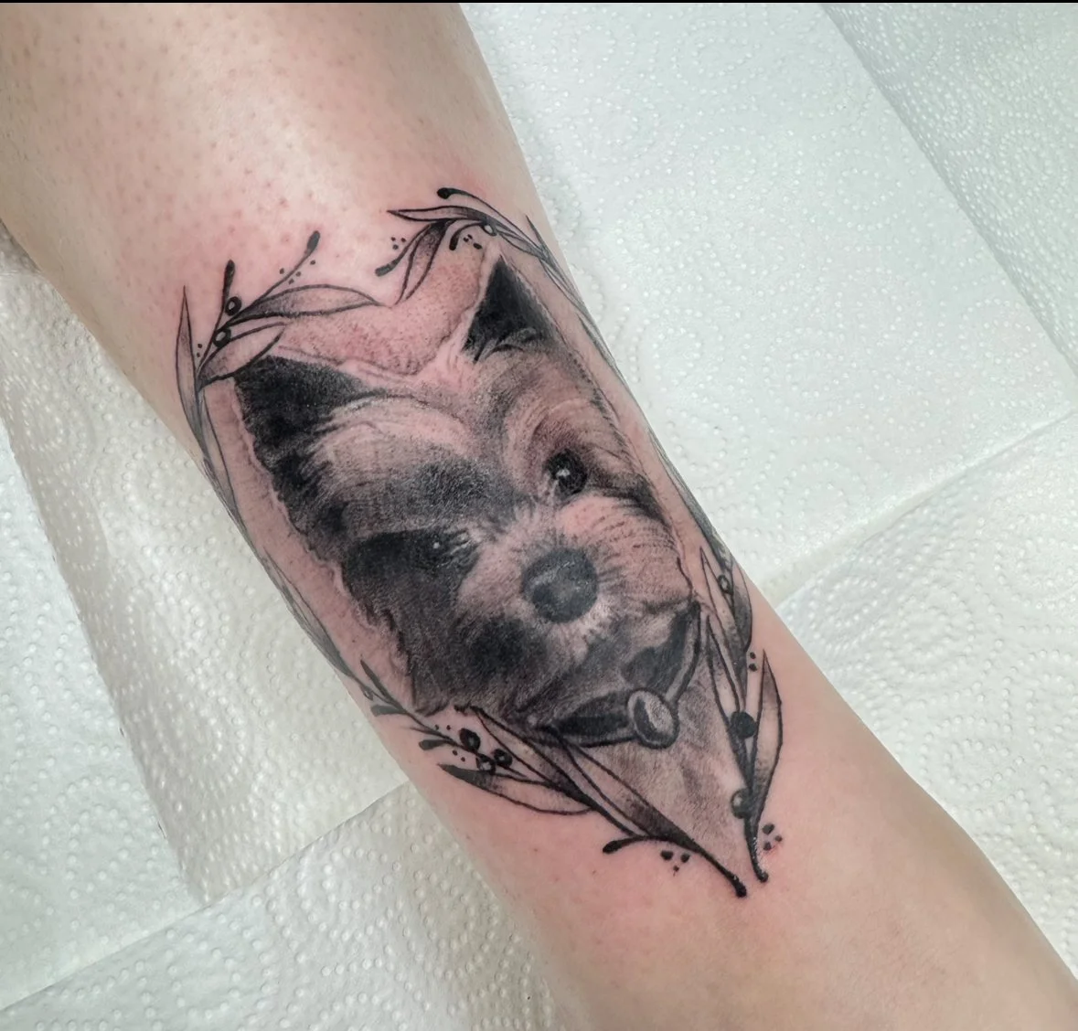 Hunde-Portrait - Realistic-Fußgelenk
