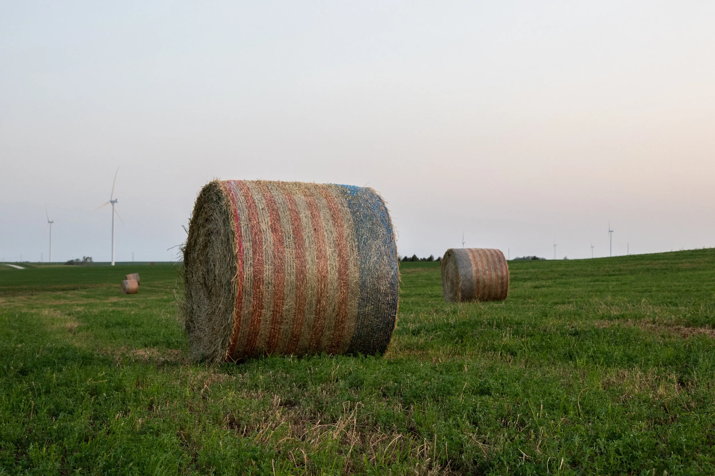 About Mills Real Estate — Mills Real Estate