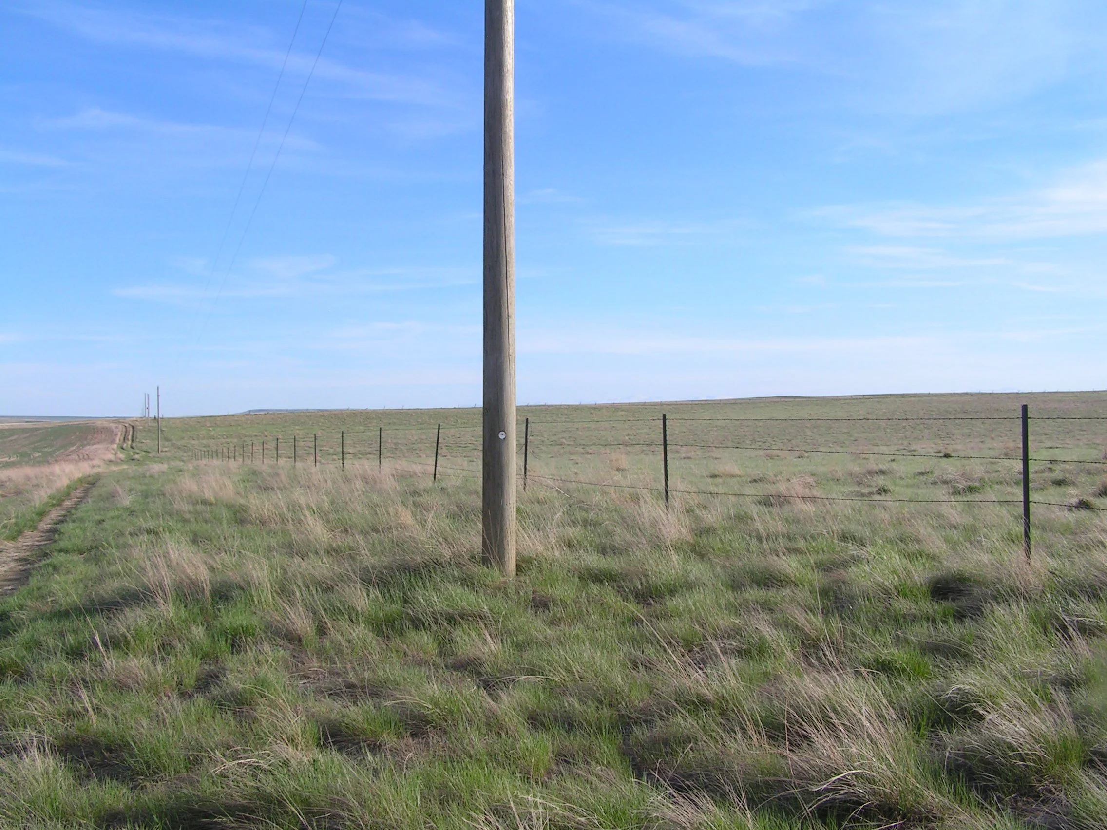 PICT0605.JPG