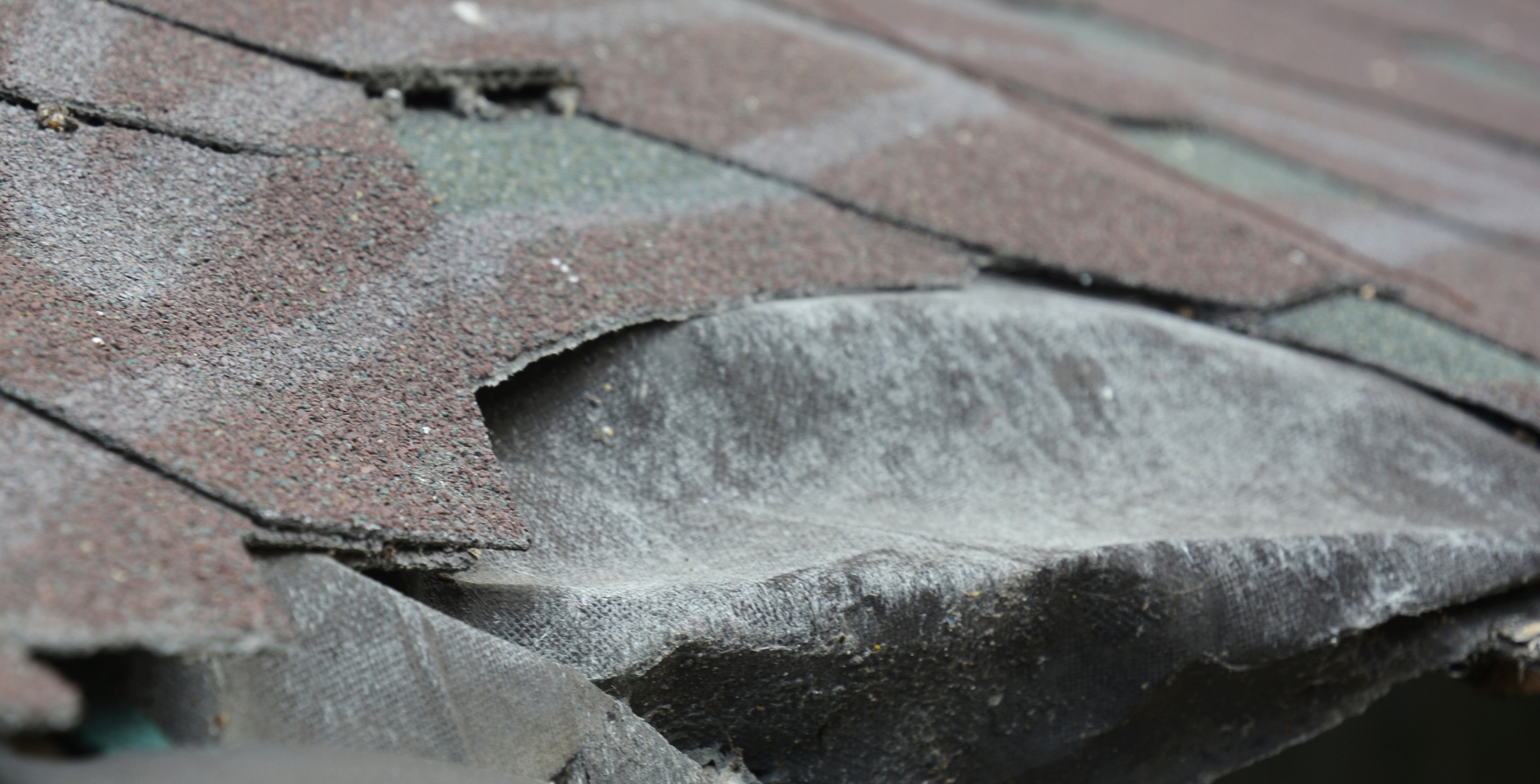 Close-up of DMV roof showing signs of wear and tear