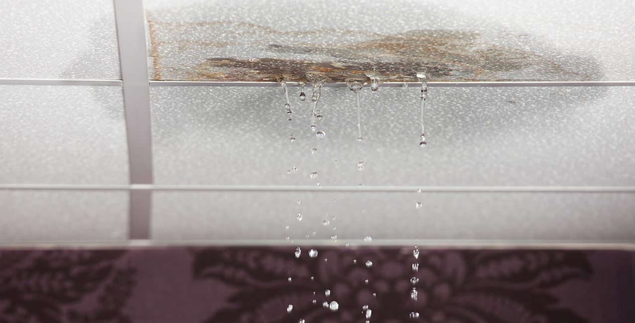 Leaking roof inside a home causing water damage on the ceiling