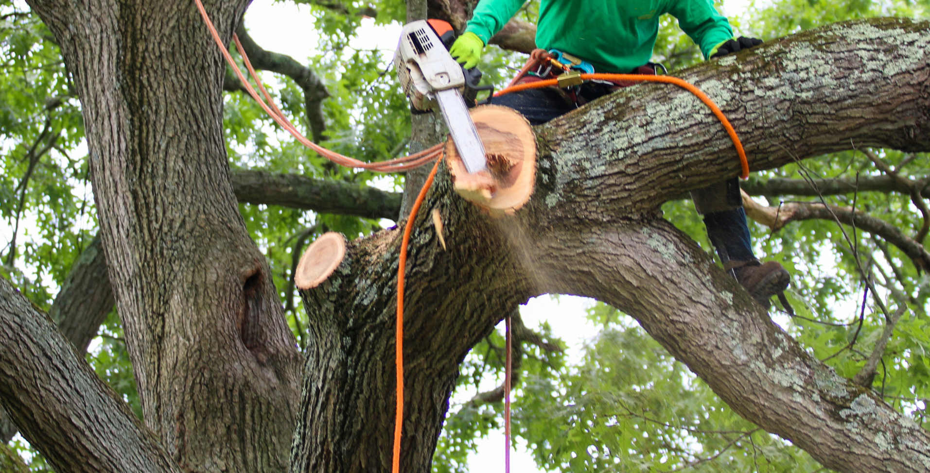Trimming trees and branches before roof installation