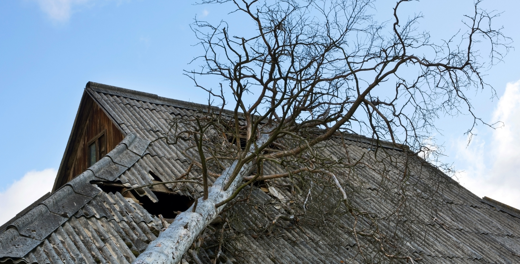 Storm-damaged DMV roof broken from fallen tree.