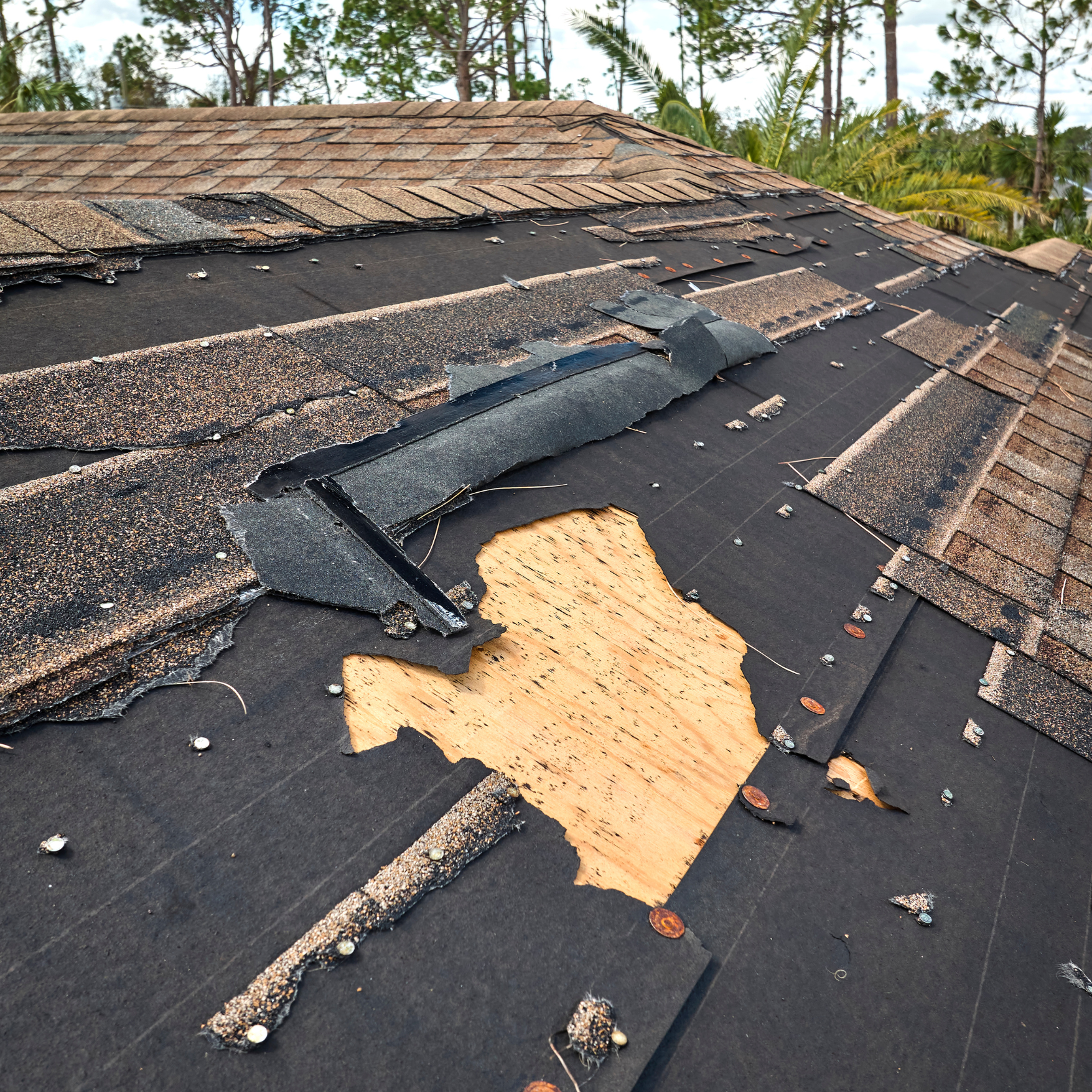 how storm damage attracts temporary roofing companies offering cheap repairs