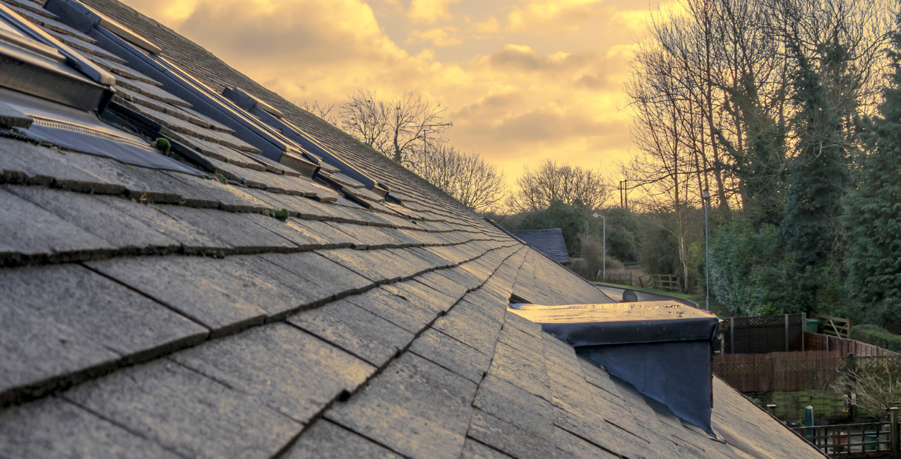 Close-up of residential roof shingles showing condition