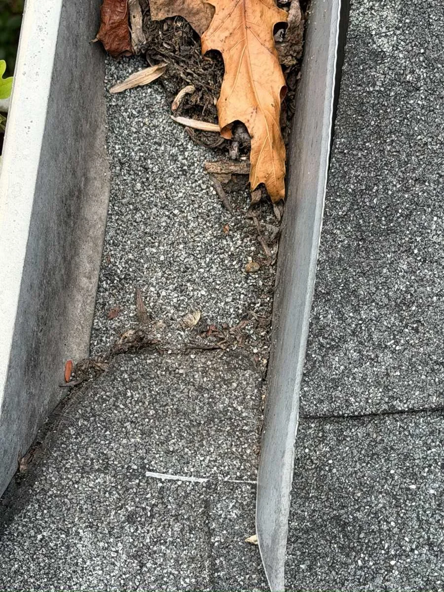 Asphalt shingle granules and leaves collecting in the bottom of a gutter
