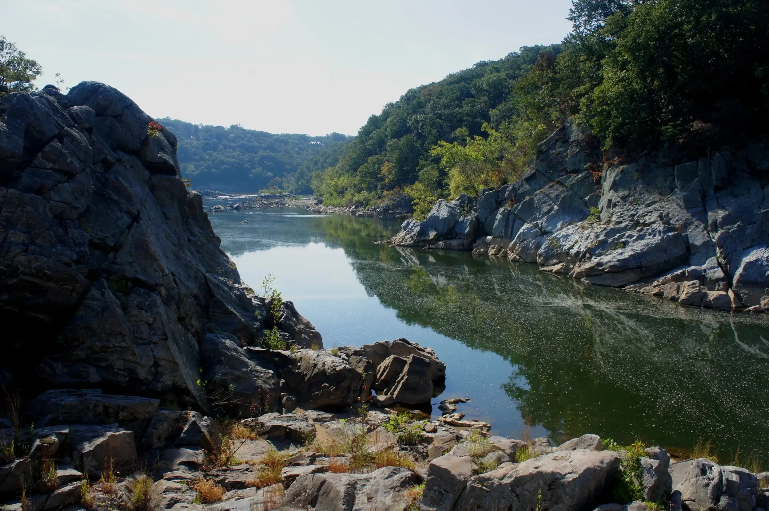 A river flowing through a rocky canyon with trees on both sides, under a clear sky.