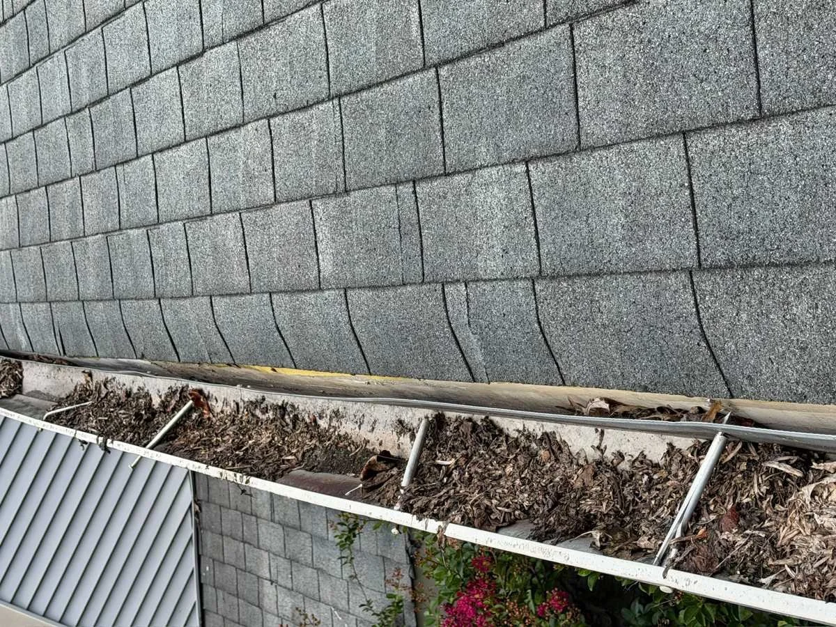 Aluminum gutter packed with wet leaves pulling away from the fascia board on a Potomac, MD home