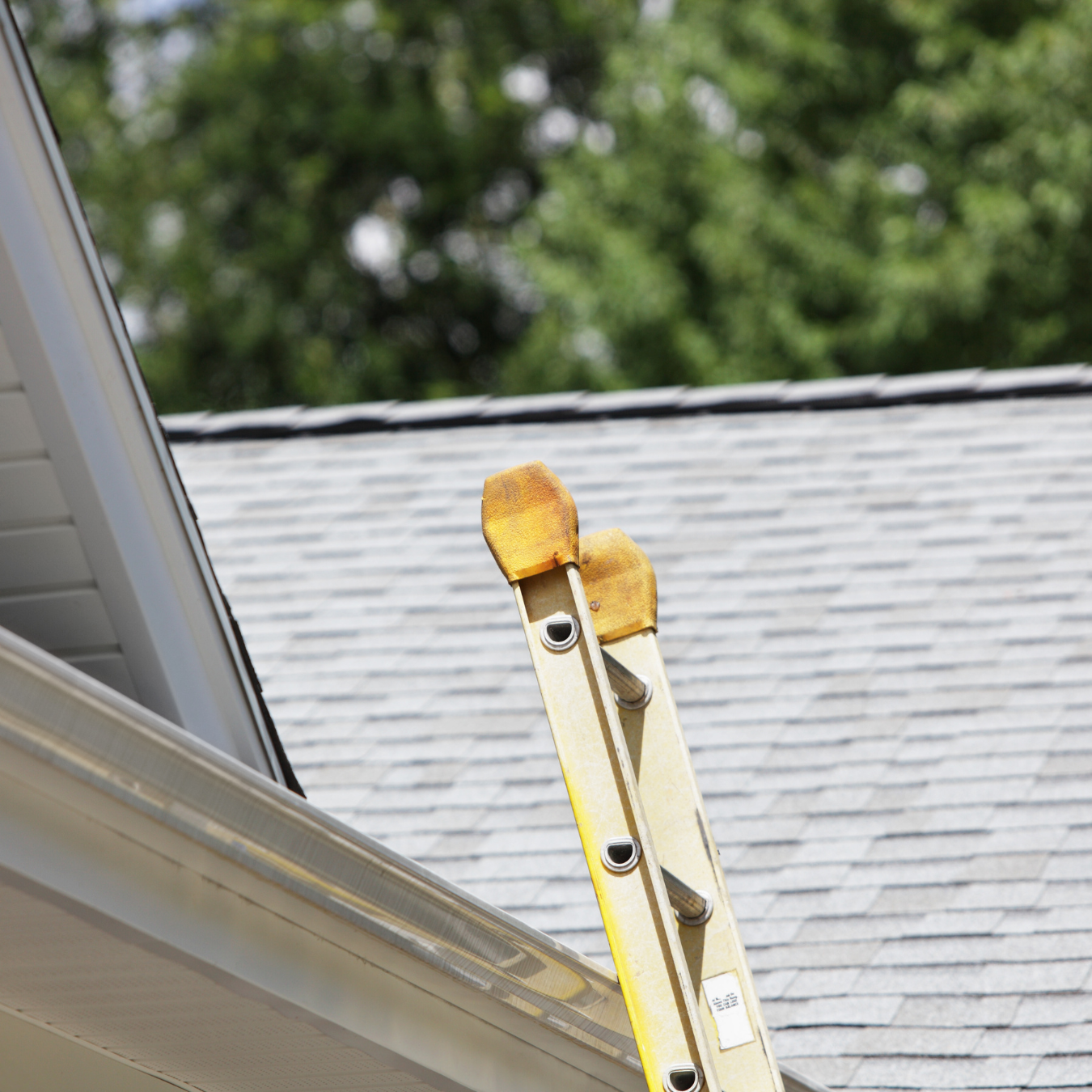 roofing contractor's ladder to inspect residential roof in Maryland