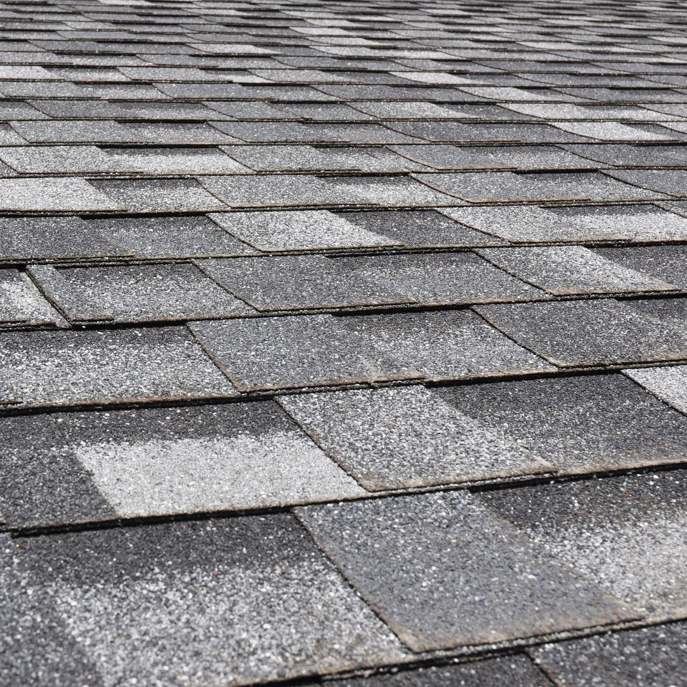 High-quality shingles designed to resist algae growth