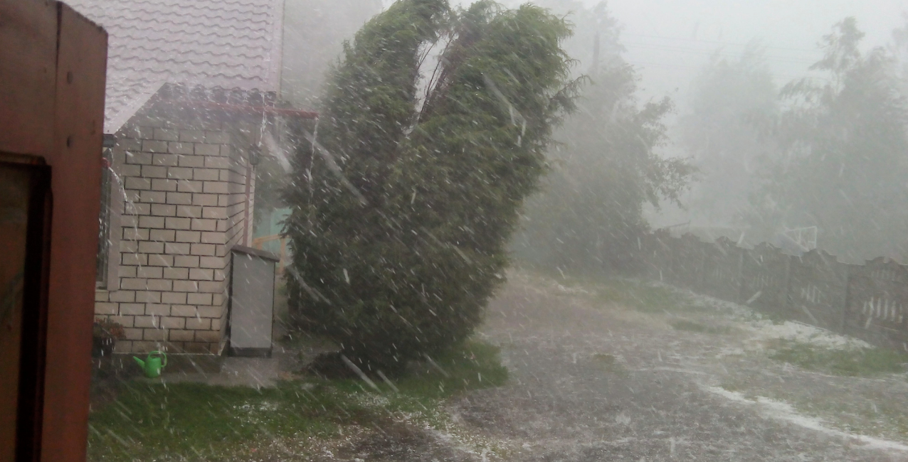 Heavy rain and wind in the DMV.