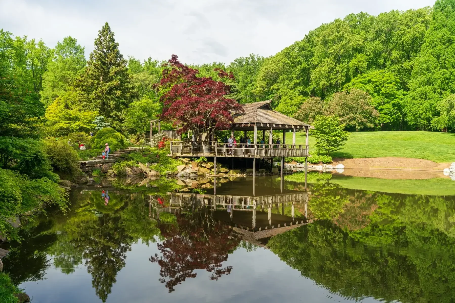 A lake of brookside gardens