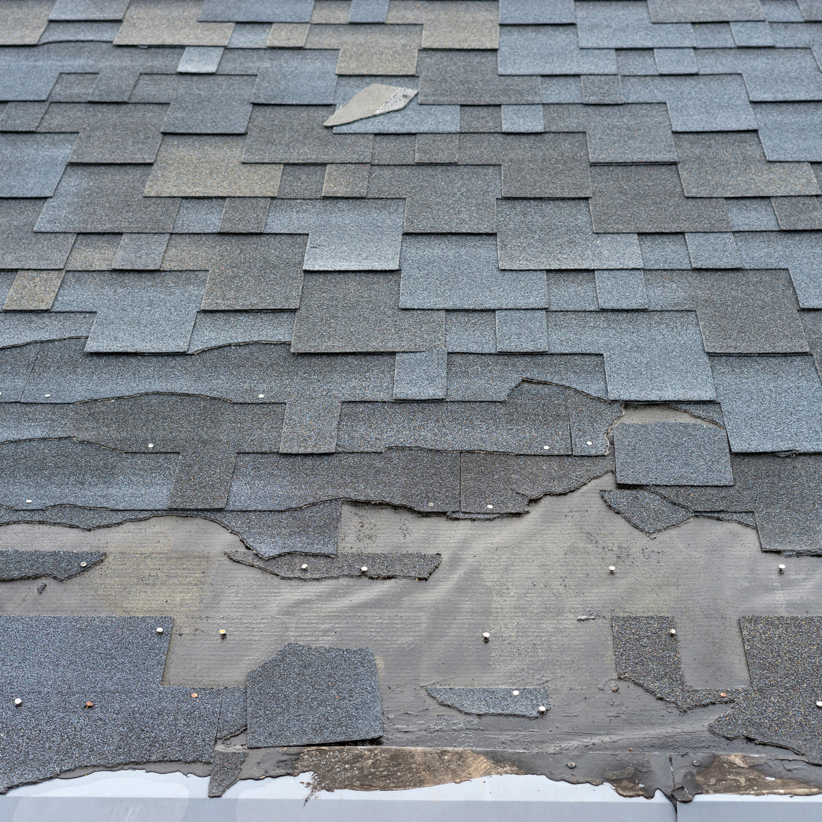 Roof with missing shingles after wind storm
