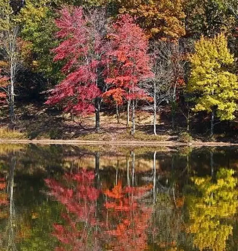 Colorful autumn trees with red, yellow, and green leaves reflected in a calm lake.