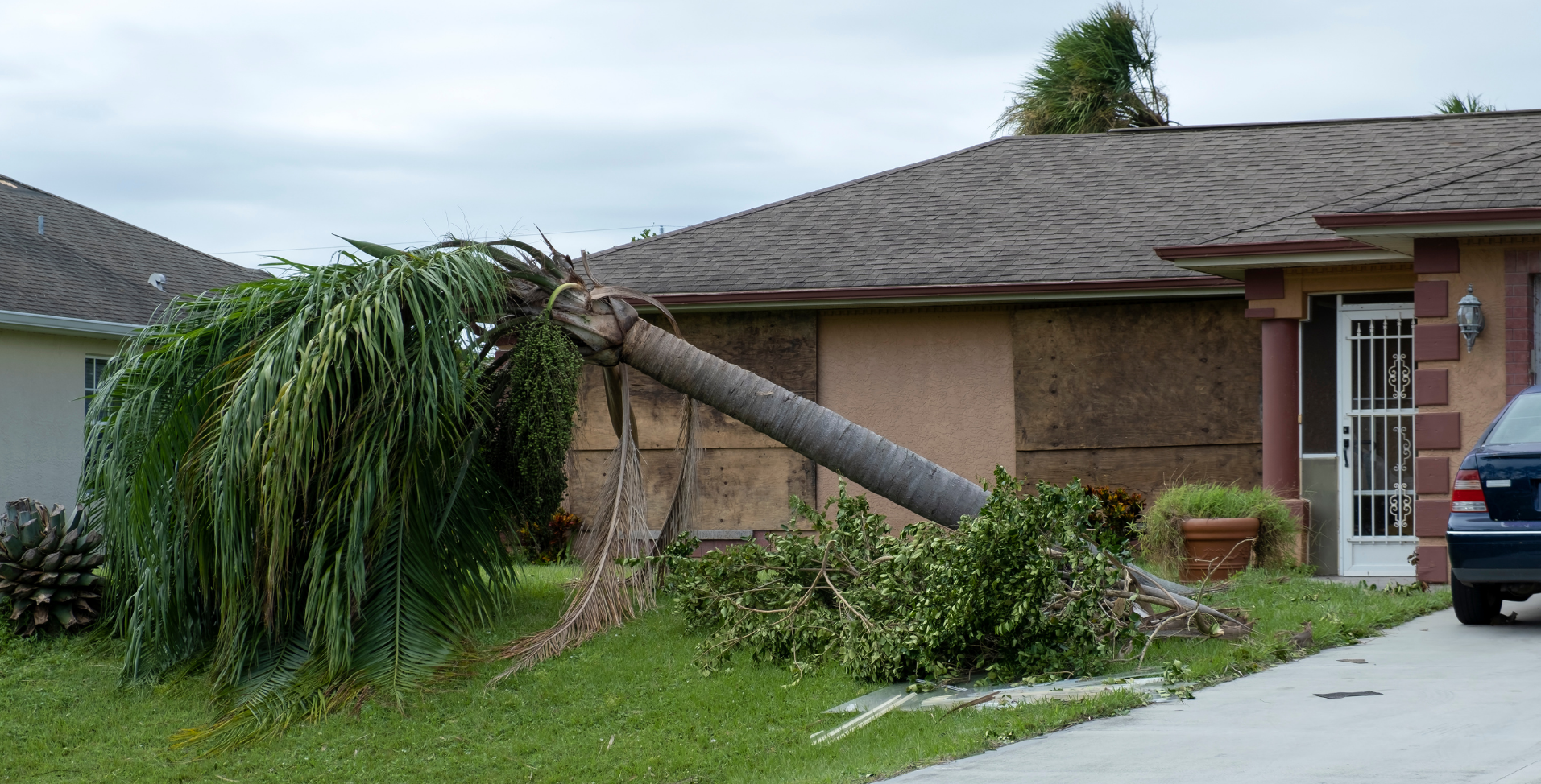 DMV home after a wind storm