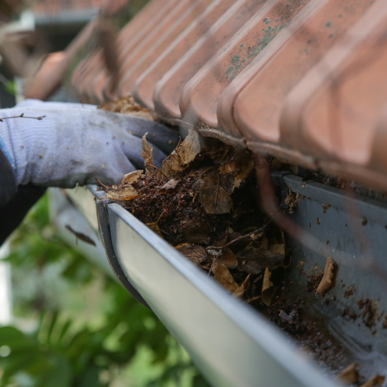 Cleaning leaves and debris off a roof