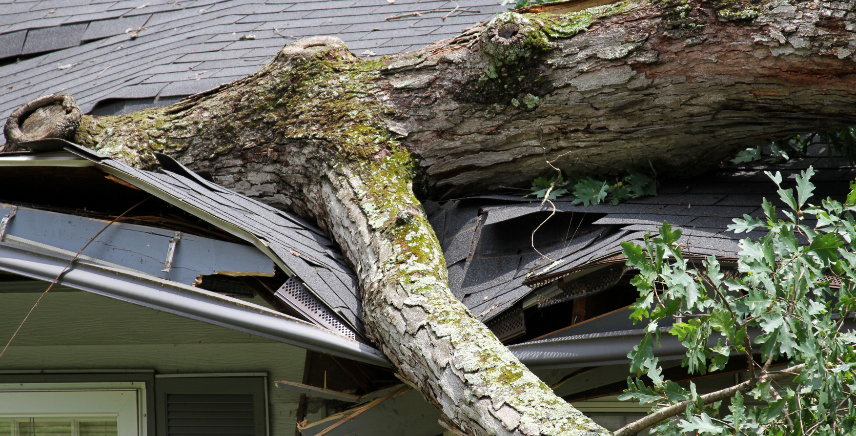 DMV Home roof destroyed by storm and falling tree