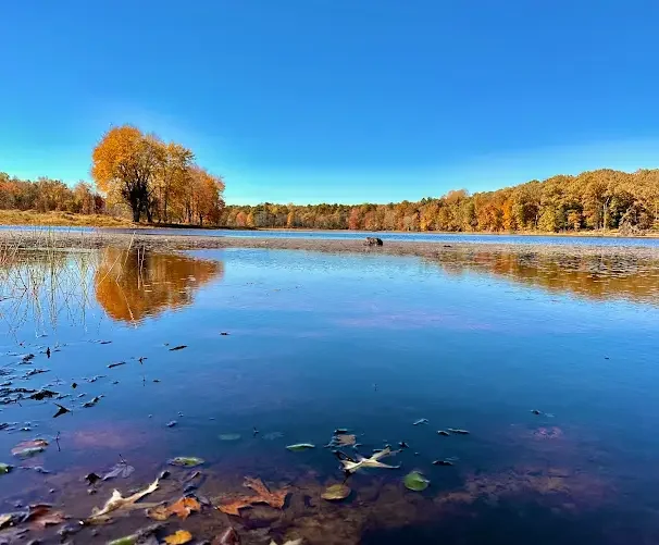 A peaceful lake scene with trees displaying fall foliage, calm water reflecting the sky, and a clear blue sky overhead.