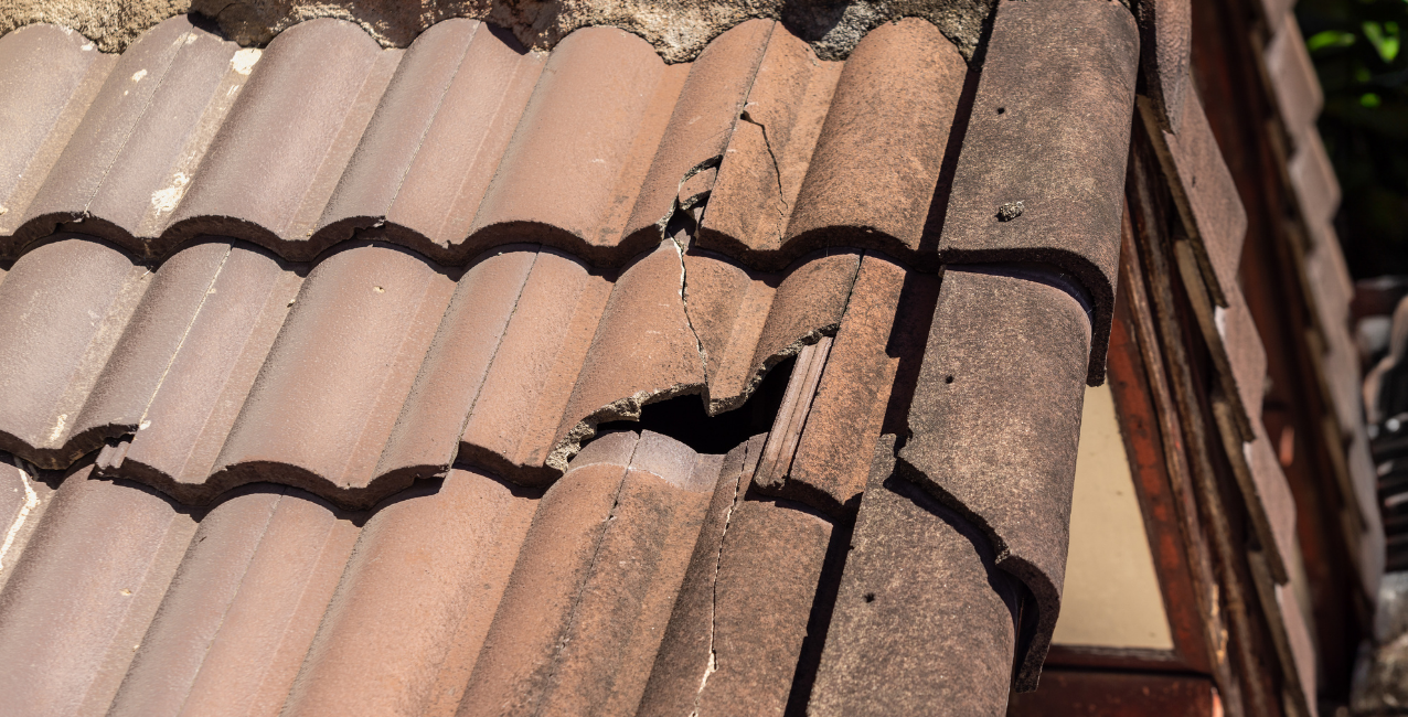 Broken old roof showing visible damage and missing shingles