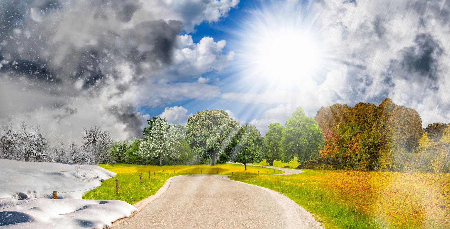 Seasonal roof care tips for winter, spring, summer, and fall DMV