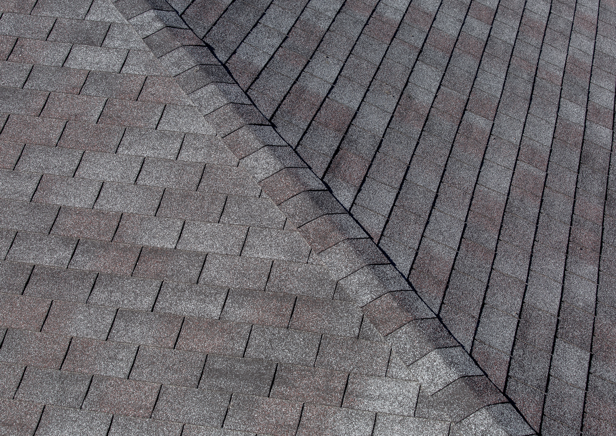 Close up of roof shingles in a DMV residential home