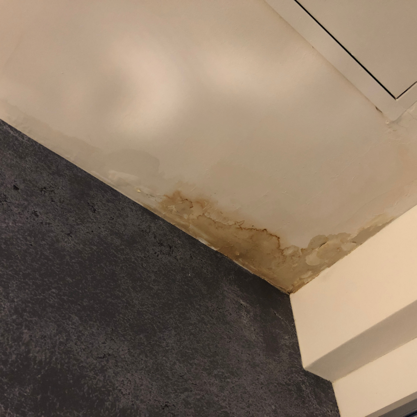 DMV residential roof leak causing ceiling stain