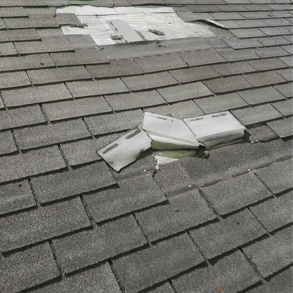 Experienced roofing contractors checking roof damage in DMV area