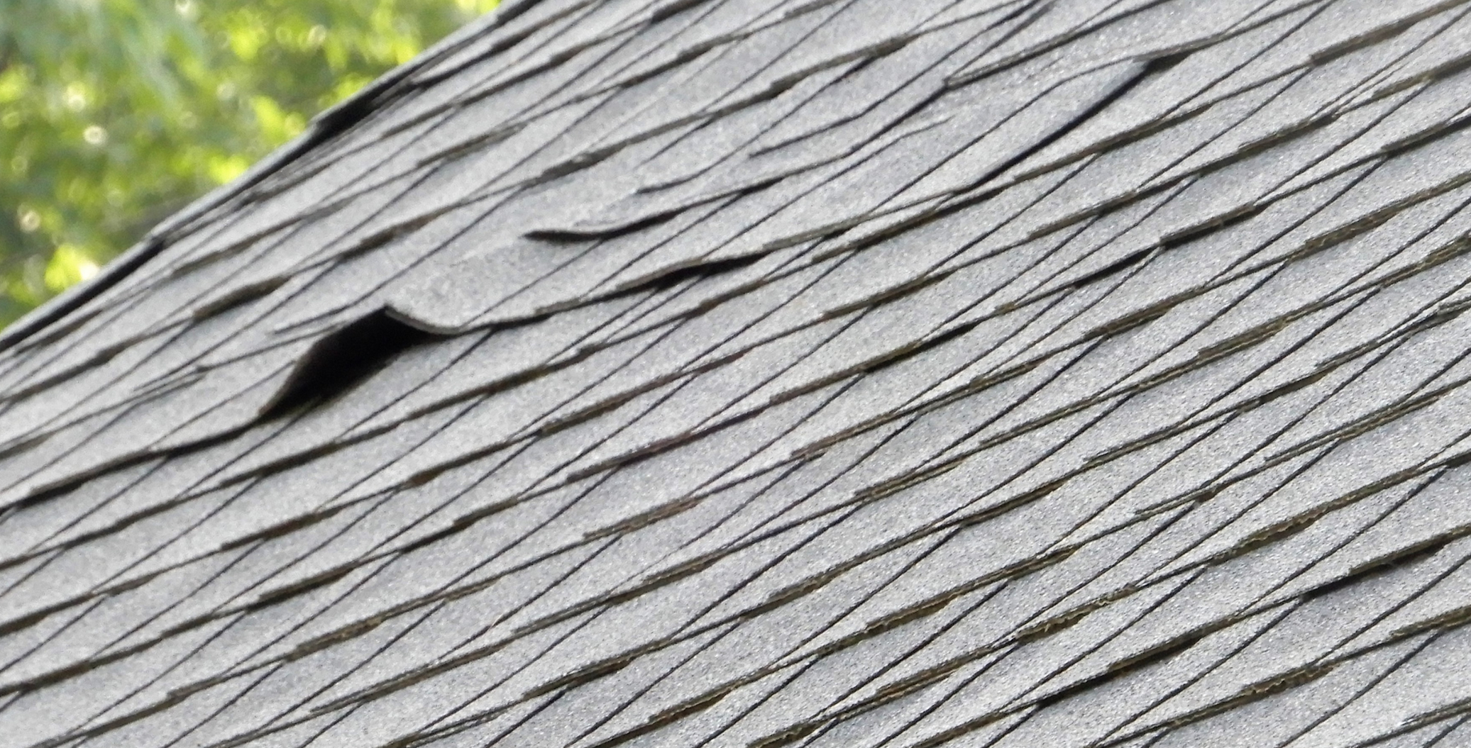 roof over with shingles lifting and curling