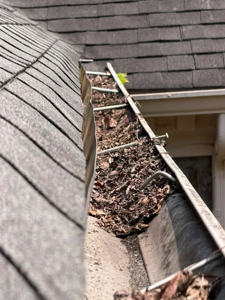 Clogged gutter with leaves piled over the downspout opening