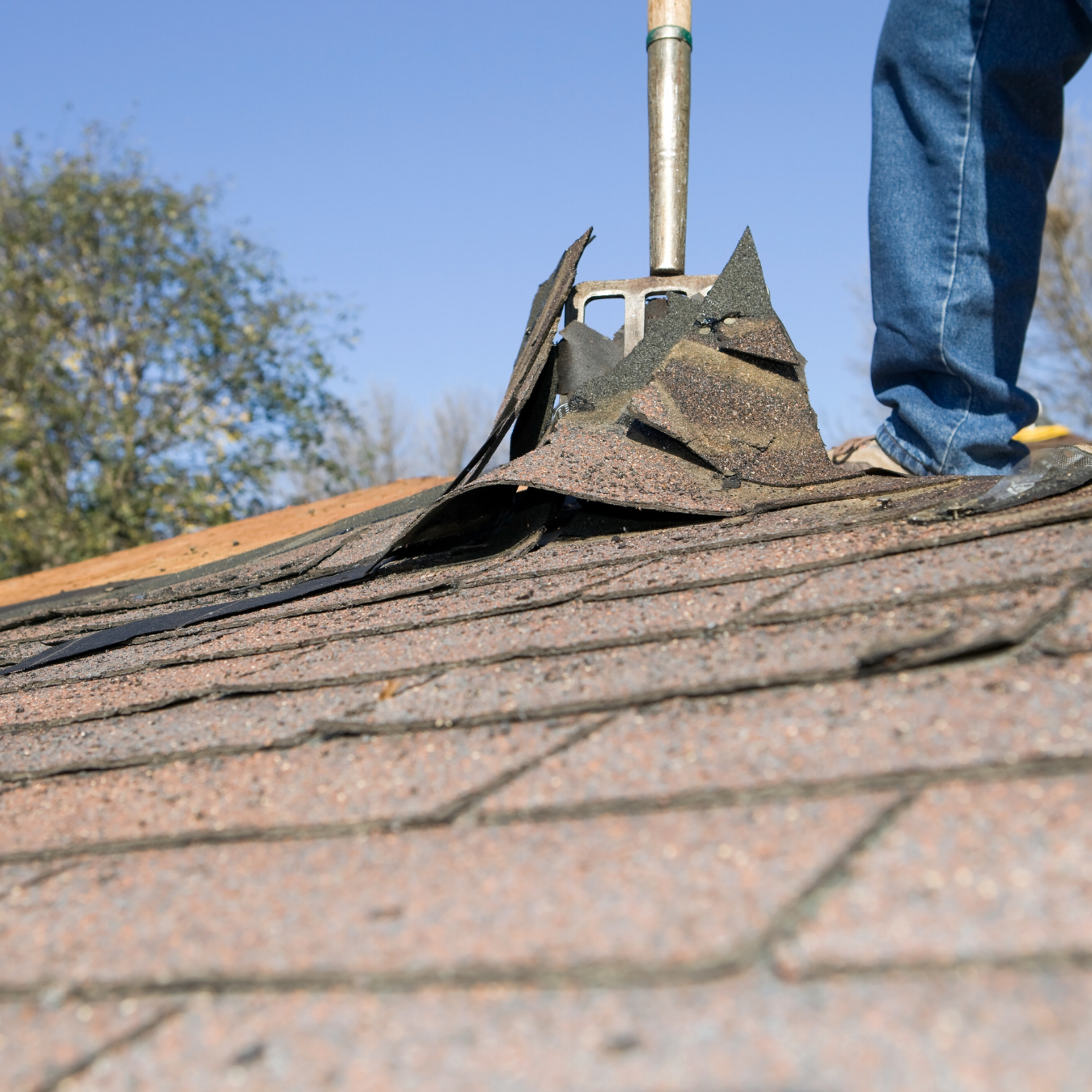 Full tear-off of asphalt roofing shingles during roof inspection in DMV